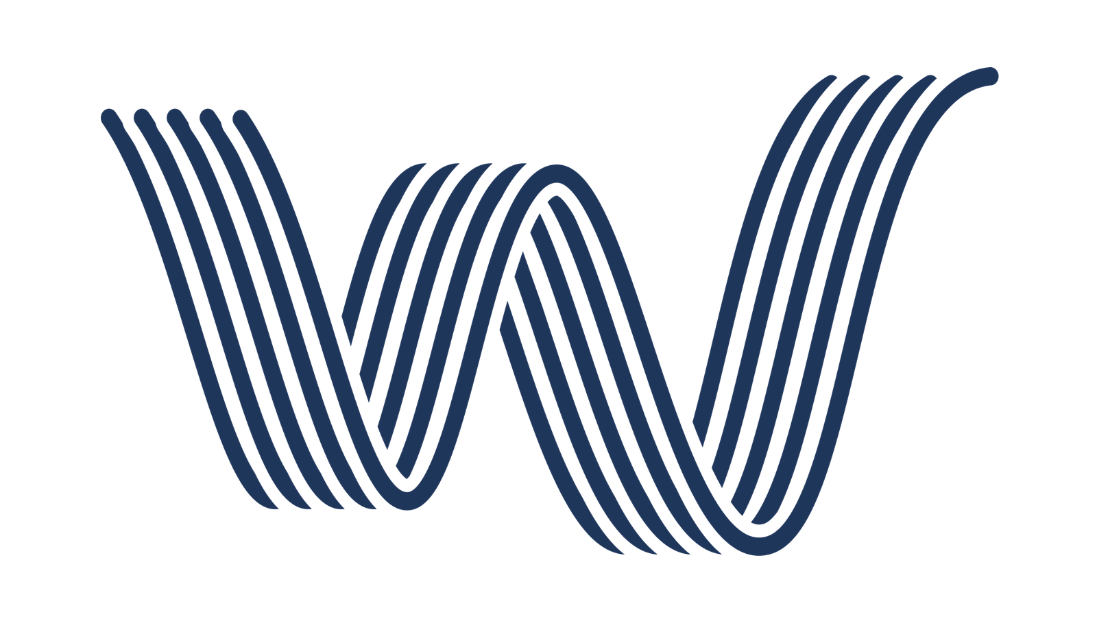 wave